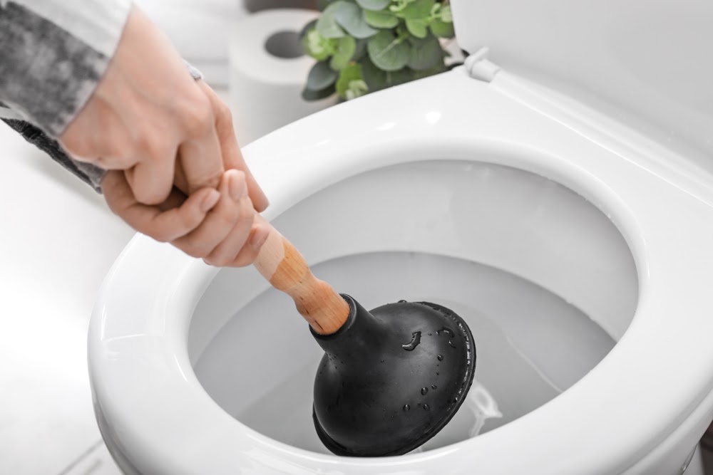 Prevent Clogged Toilets